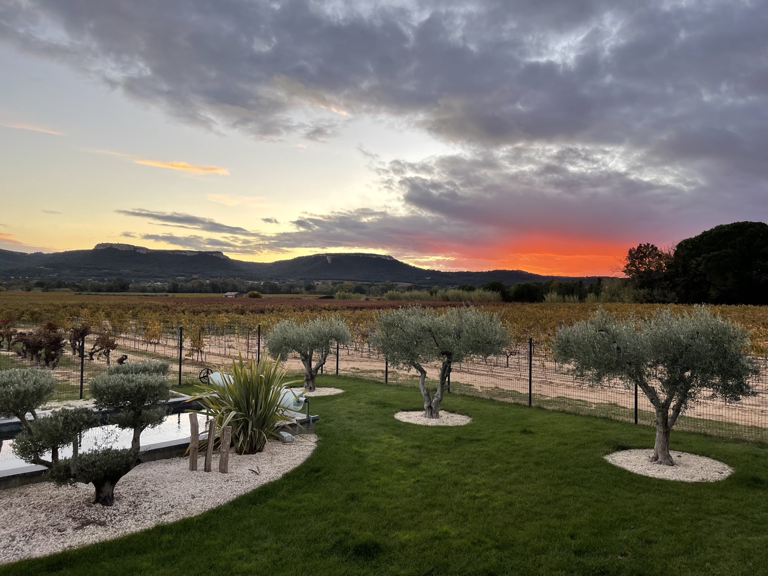 Sunset over the vines and Camp César